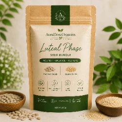 Luteal Phase, Wellness in Every Spoonful